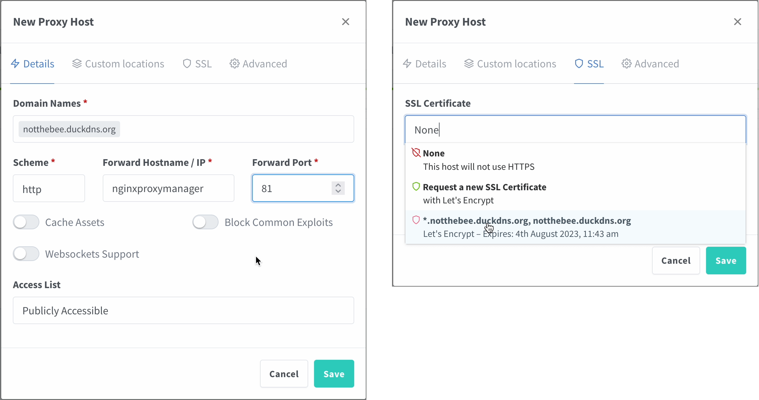 Proxy entry settings