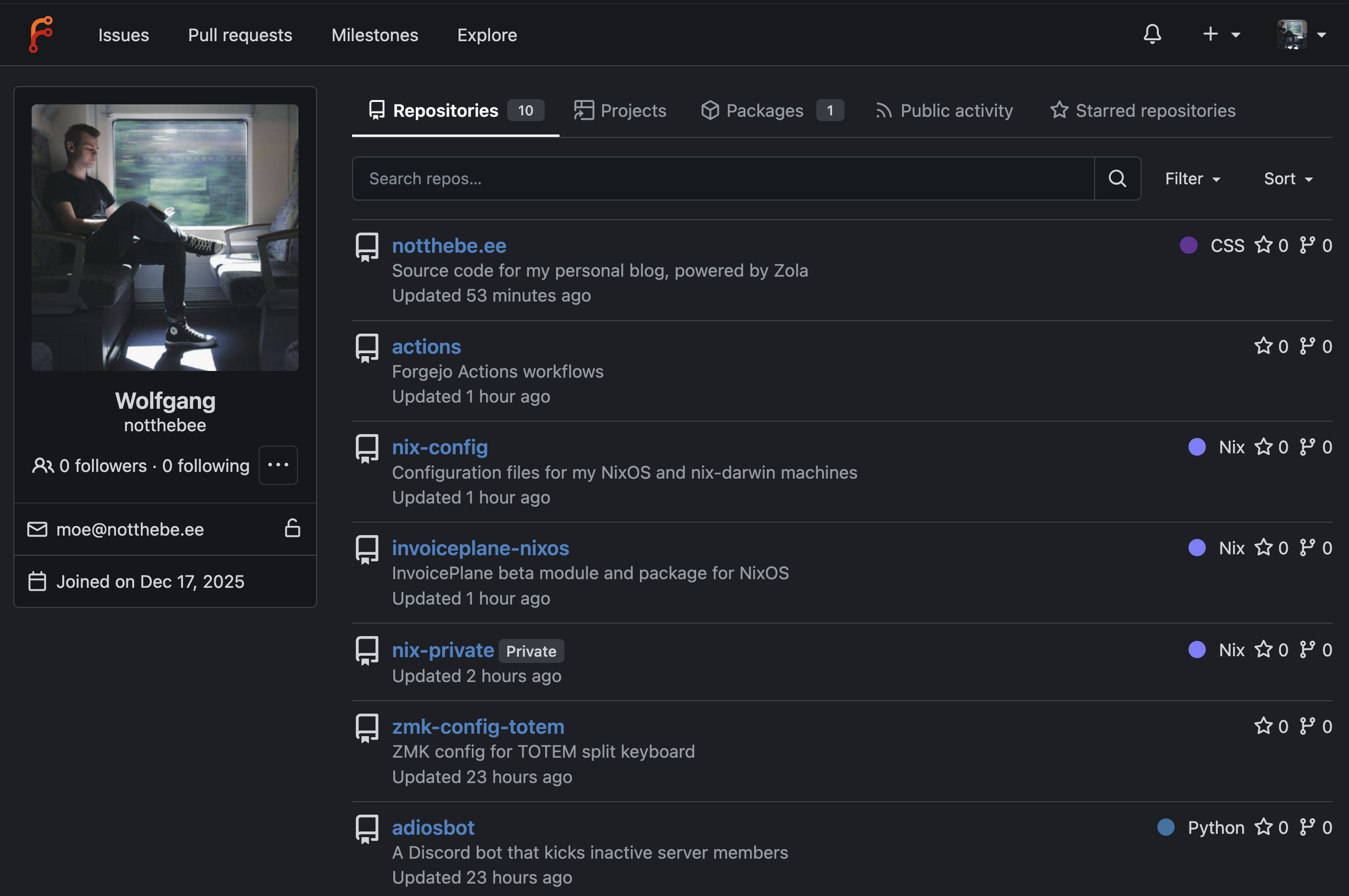 Forgejo UI screenshot